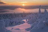 Landscape of Lapland in the snow Finland