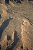 NamibRand Nature Reserve ; Namibia - Aerial view of arid mountain ridges and dry riverbeds at the edge of the Namib Desert. The so-called 'Fairy Circles' are circular patches without any vegetation which according to recent scientific studies are caused by the Harvester Termite (Hodotermes mossambicus). NamibRand Nature Reserve, Namibia.