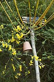 Insect shelters an organic garden ; Ce petit coin de nature est le cadre idéal pour vous parler de la faune auxiliaire du jardin ! Le fagot de tiges creuses servira de refuge aux abeilles solitaires comme les osmies. Le pot retourné empli de paille abritera les forficules (ou pince oreille) et il n'y aura plus qu'à les lâcher dans les arbres fruitiers envahis de pucerons. Le genêt en fleurs attire quant à lui les butineurs, une ressource précieuse au verger, d'autant plus qu'elle a tendance à se raréfier.