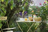 Breakfast table in a garden