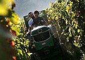 winemaker and his son on a tractor in a wineyard