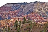 Natural amphitheater in Bryce Canyon NP USA