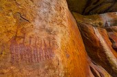 Sevilla Bushman Rock Art Trail Cederberg Mountains RSA
