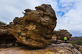 Sevilla Bushman Rock Art Trail Cederberg Mountains RSA