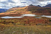Tundra around Coal Lake in autumn Yukon Canada  ; Lakeland South