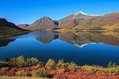 Tundra around Alligator Lake in autumn Yukon Canada  ; Lakeland South