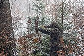 Bowhunting winter Vosges France ; Normal camouflage outfit 