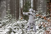 Bowhunting winter Vosges France ; Keeping winter camouflage