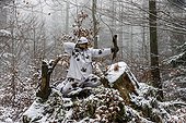 Bowhunting winter Vosges France ; Dress winter camouflage