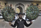 Seller of peacock feather fans - Jaipur India