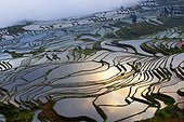 Rice terraces of Hani people - Yuanyang China ; Ailao mountains