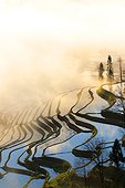 Rice terraces of Hani people - Yuanyang China ; Ailao mountains