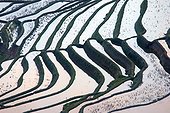 Rice terraces of Hani people - Yuanyang China ; Ailao mountains