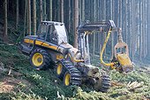 Clearcutting in artificial spruce forest and machine ; felling and limbing