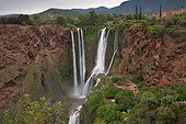 Ouzoud waterfall on El Abid river - Middle Atlas  Morocco