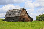 Old barn wood leaning on the side - Alberta Canada 