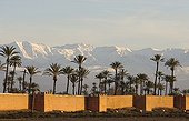 The ramparts of Marrakesh against the High Atlas mountains