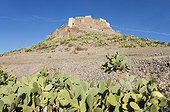 Kasbah Tizourgane and Prickly Pear - Anti-Atlas Morocco