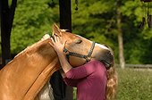 Complicity between a rider and his horse - France