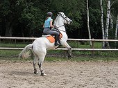 Rider on horse rearing - France 