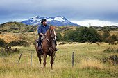Gaucho on his horse  - Patagonia Chile