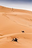 Camel and motorcycle in a sand dune - Morocco 