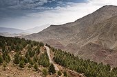 Mountain road Oukaimeden - Toubkal High Atlas Morocco