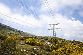 High voltage line over a sheep - France