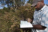 Mapping an invasive species - New Caledonia 