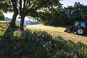 Meadow flowers and tractor - Préalpes d’Azur RNP  France 