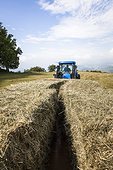 Collection of haystacks - Préalpes d’Azur RNP  France 