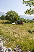 Mowing hay - Préalpes d’Azur RNP France 