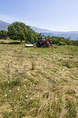 Mowing hay - Préalpes d’Azur RNP France 