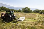 Mowing hay - Préalpes d’Azur RNP France 