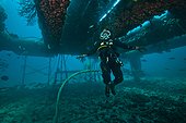 umbilical diver moving in zero  - Aquarius Reef Base Florida ; neutral buoyancy