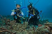 Mesure de respiration d'une Eponge - Aquarius Reef Base ; Mission de recherche août 2011: l'acidification des océans: Contrôles Reef pH;. Chercheur principal: Dr Chris Martens, UNC Chapel HillCo-chercheur principal: Dr.Niels Lindquist, UNC Chapel Hill