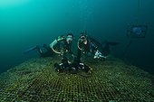 Divers on top platform - Aquarius Reef Base Florida ; writer Lars Abromeit/GEO (l) and uw-photographer Christoph Gerigk