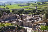 Mausolée libyco-punique Site archéologique de Dougga-Tunisie