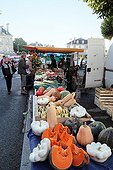 Stall vegetables producer organic - Brittany France