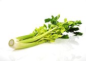 Wild celery ; Celeri branche sur fond blanc