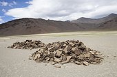 Yak dung drying - India Himalayan highlands  ; Region inhabited only by nomads Samad <br>Altitude: 4800 m 