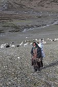 Shepherd carrying dry dung - Himalayan highlands India  ; Yak dung collected during the day and used as an oxidizer for cookingP<br>ashmina goats reared for their wool<br>Region inhabited only by nomads Samad <br>Altitude: 4800 m