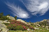 Cirrus clouds - Reserve Neouvielle Pyrénées France