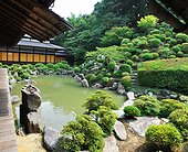 Chishakuin temple garden pound in summer - Japan