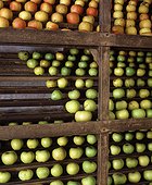 Fruit room full of apples