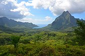 Landscape Morea - Tahiti French Polynesia
