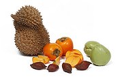 Durian Salaks Khakis and Mayotes on white background 