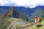 Huayna Picchu above the ruins of Machu Picchu - Peru 