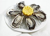 Edible oyster Lemon Shell ; Huître Marennes d'Oléron