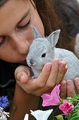 Young rabbit into the hand of a little girl